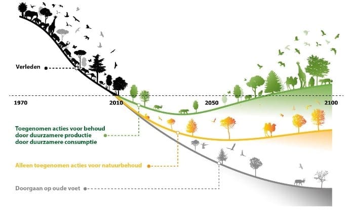 Belang biodiversiteit in infographic 1970 tot 2100