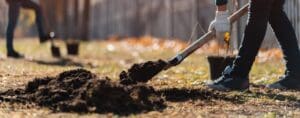 Meer biodiversiteit op bedrijventerreinen - plant een boom