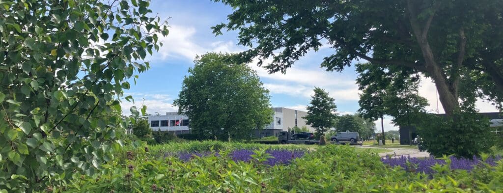 Groen biodivers entree bedrijventerrein Halfweg-Molenwatering