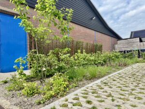 Groen bedrijfsterrein | Van der Wal Zuidland