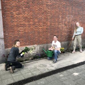 Vergroenen buitenterrein | geveltuin