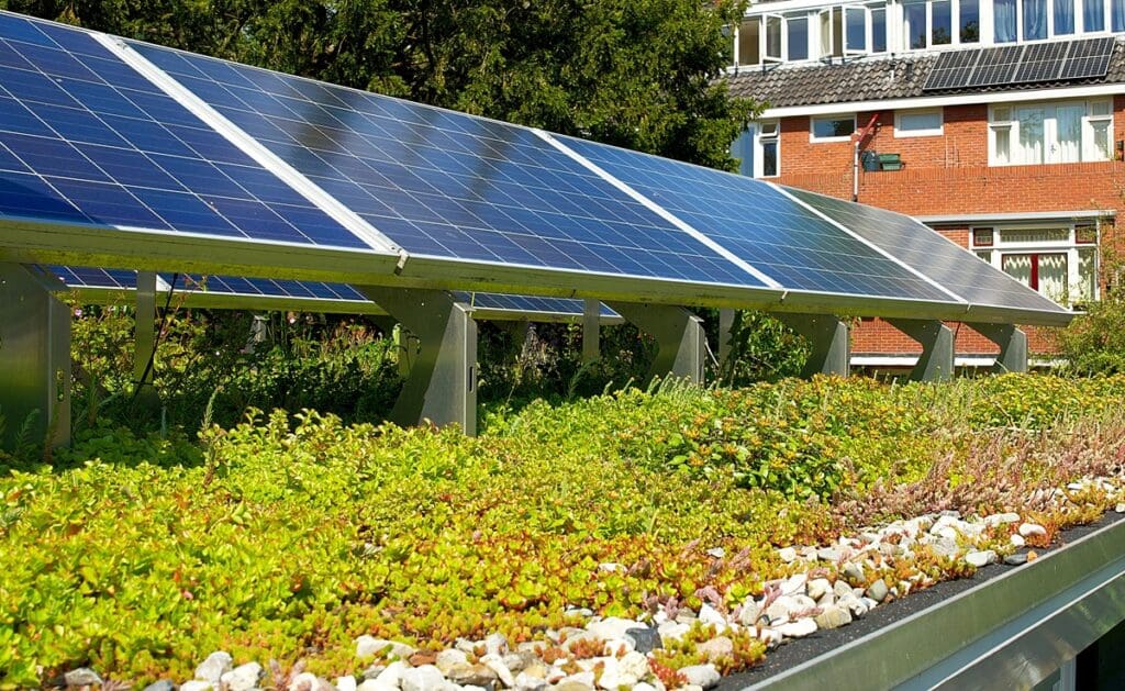 Zonnepanelen op groen dak | groen bedrijfsterrein